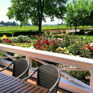 Terrace at Monticello Vineyards